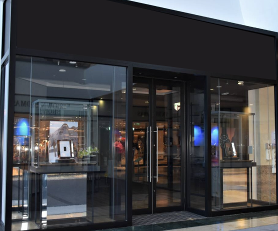 Modern Door